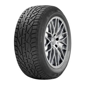 RIKEN SNOW 175/65 R15 84T