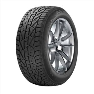 TIGAR WINTER 195/65 R15 91H